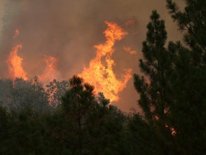 177554230-4cd0296f0b02d10bb90a633cf5f94355a0465041-s40-c85