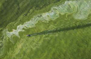 nationalgeographic-1558172_82362_990x742